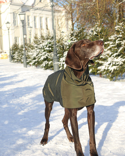 KENZOO khaki waterproof jacket for dog