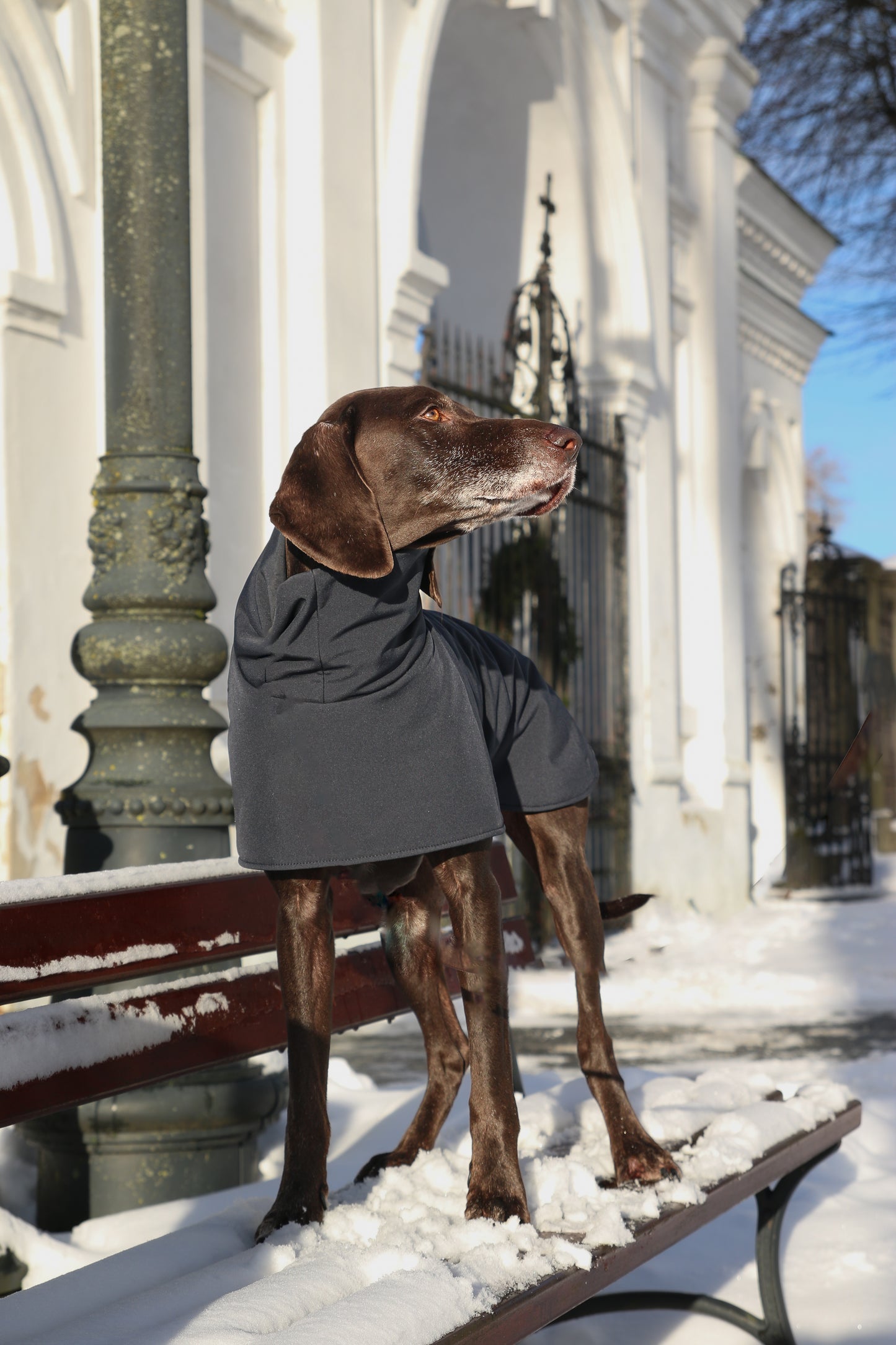KENZOO black waterproof jacket for dog