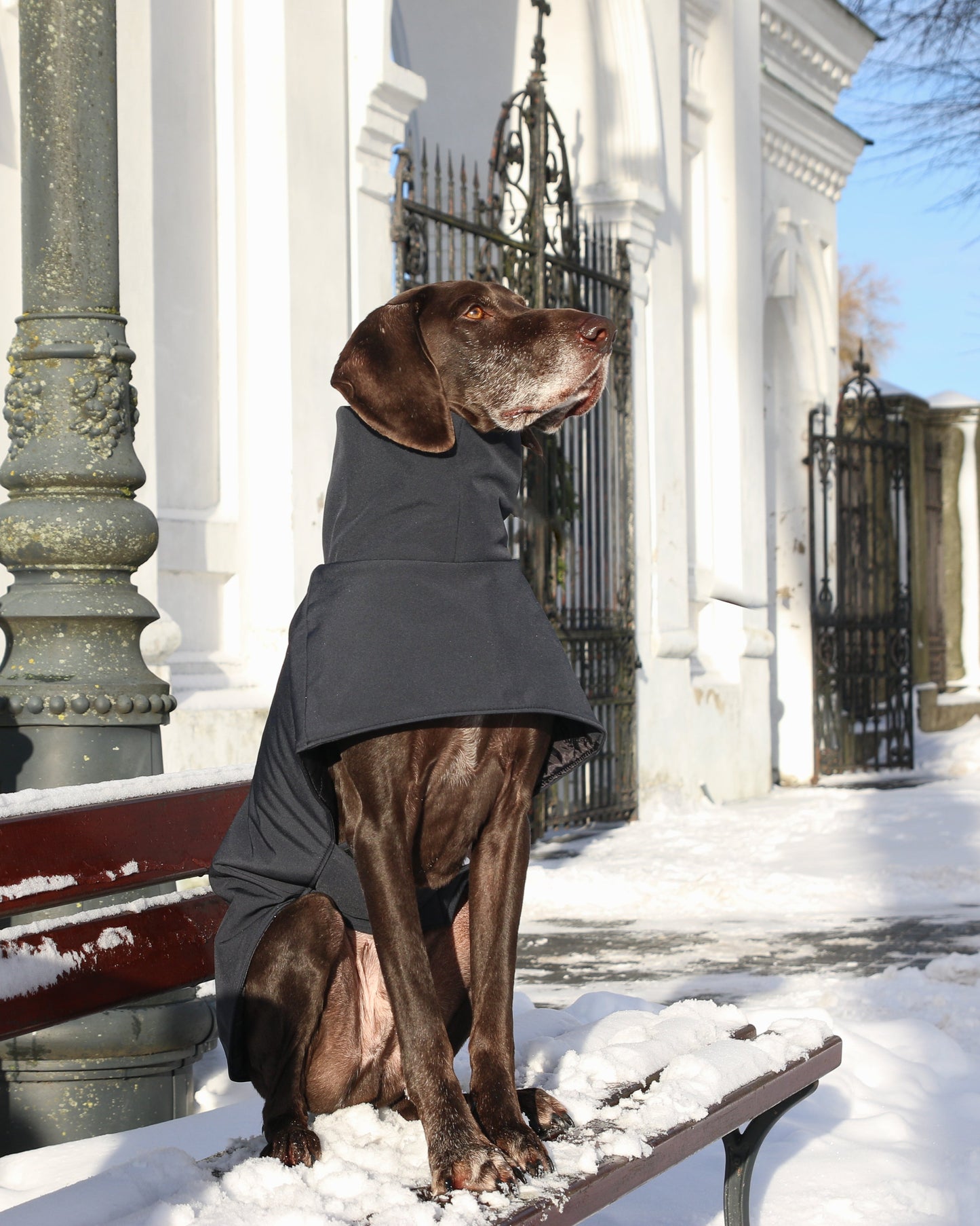 KENZOO black waterproof jacket for dog