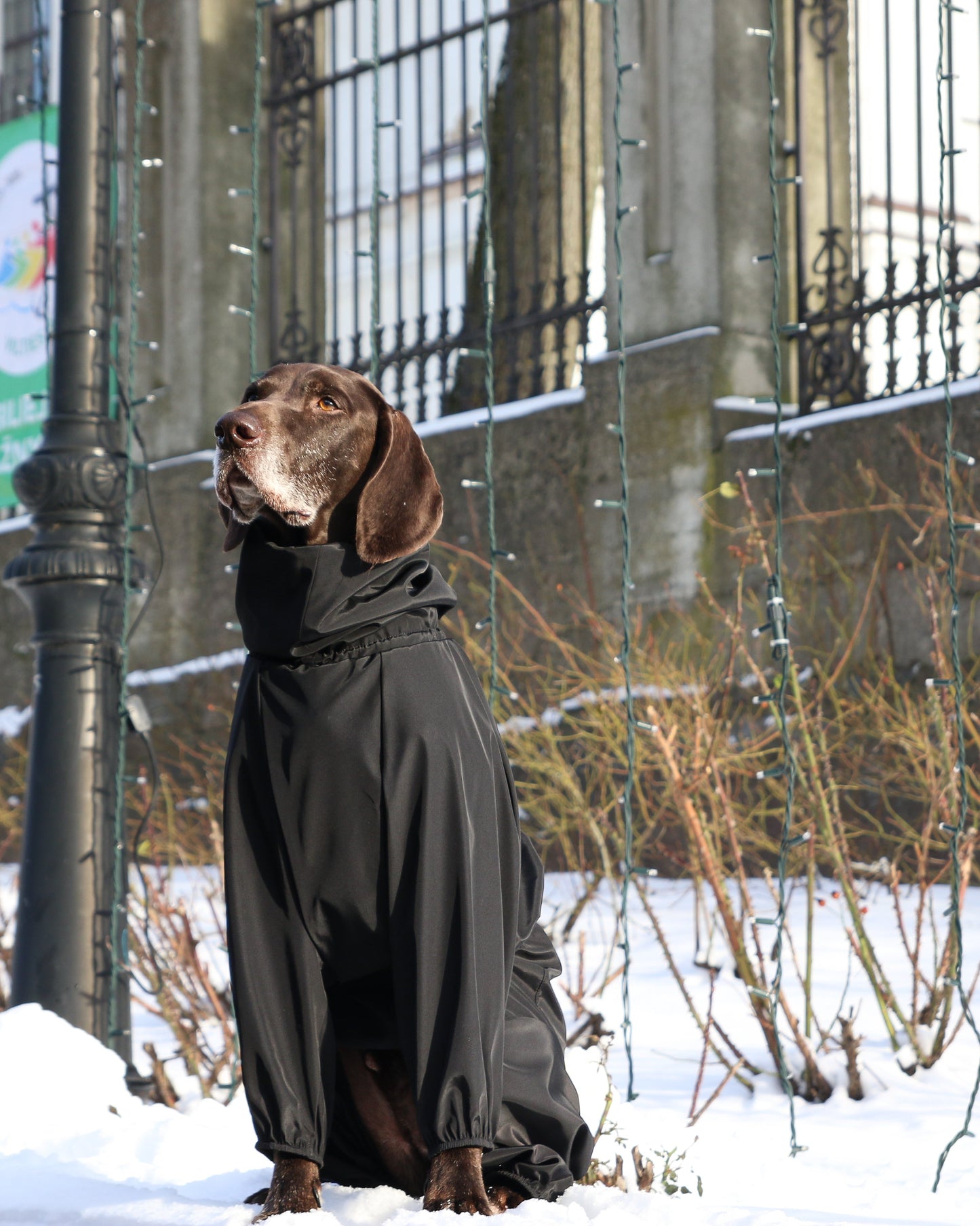 KENZOO waterproof dog overalls