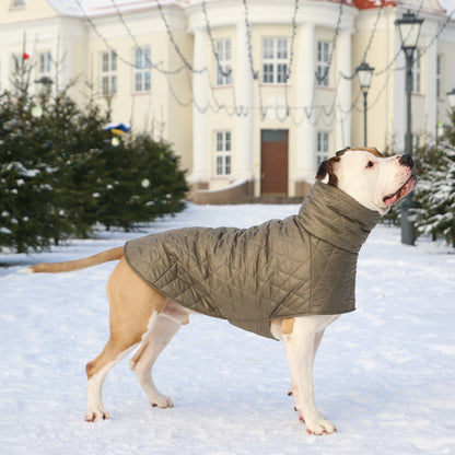 KENZOO grey-brown jacket for "bull" type dogs