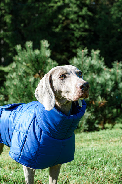 KENZOO dark blue warm jacket with belt