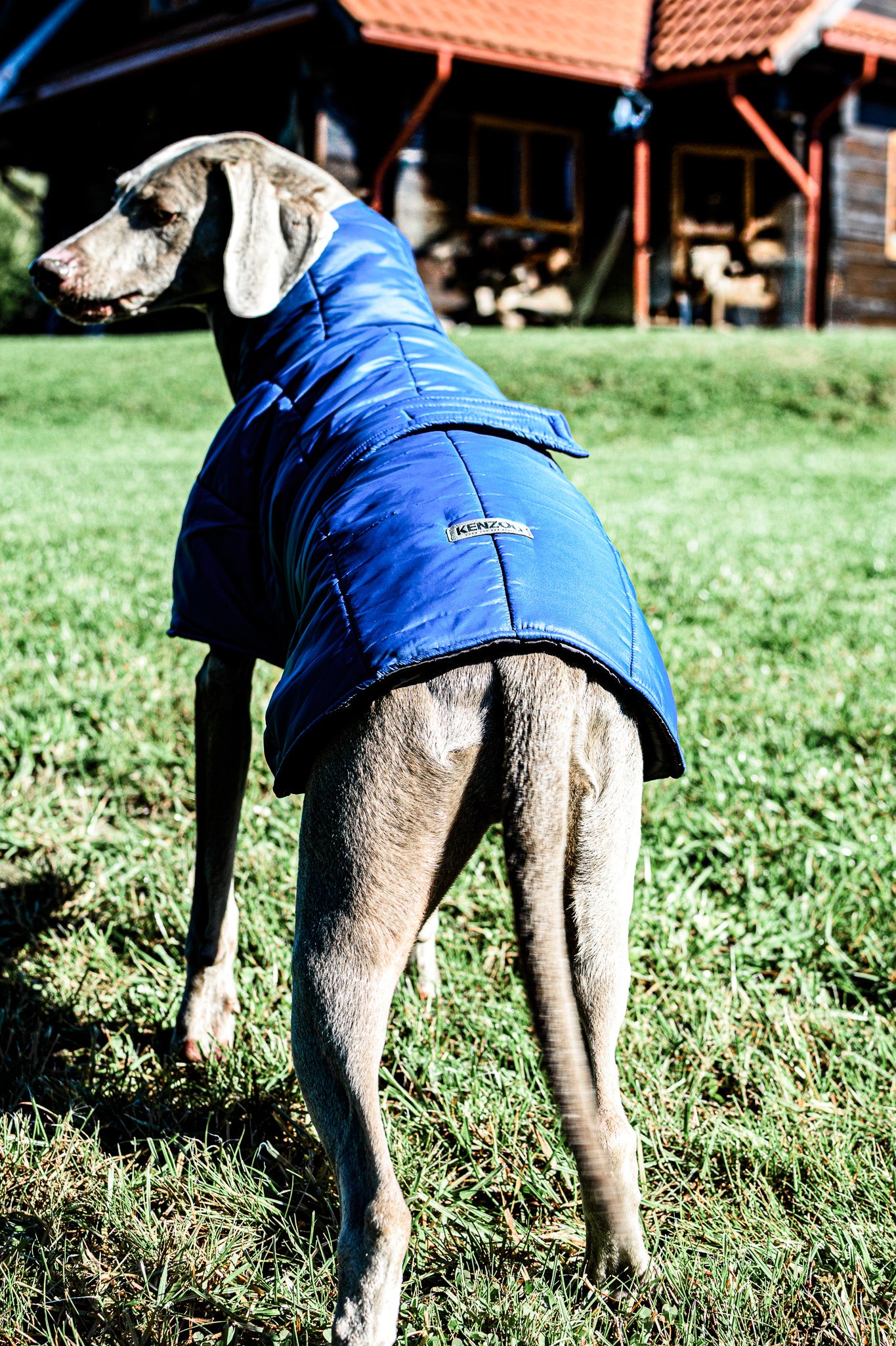 KENZOO dark blue warm jacket with belt