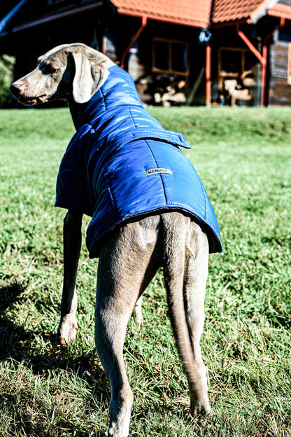 KENZOO dark blue warm jacket with belt