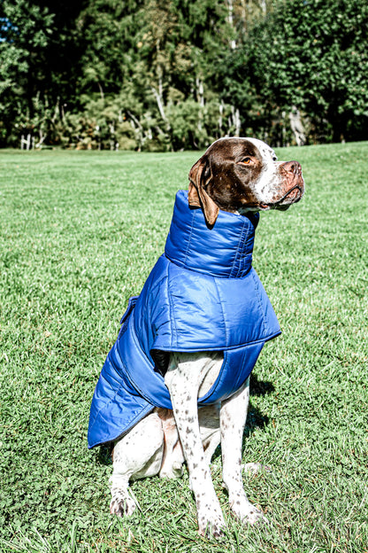 KENZOO dark blue warm jacket with belt