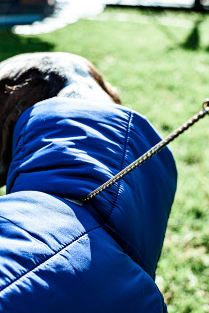 KENZOO dark blue warm jacket with belt