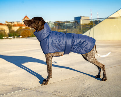 KENZOO dark blue warm jacket with belt