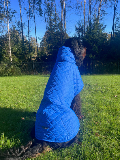 KENZOO blue light jacket for dog