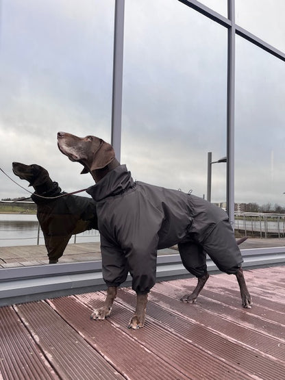 KENZOO waterproof, extra warm dog jumpsuit