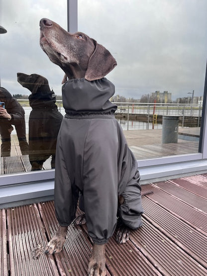 KENZOO vedenpitävä fleece-koiranhaalari