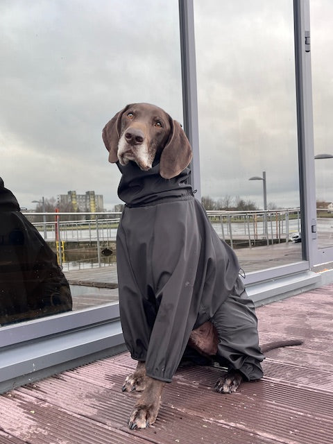 KENZOO waterproof dog overalls
