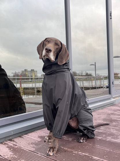 KENZOO waterproof dog overalls