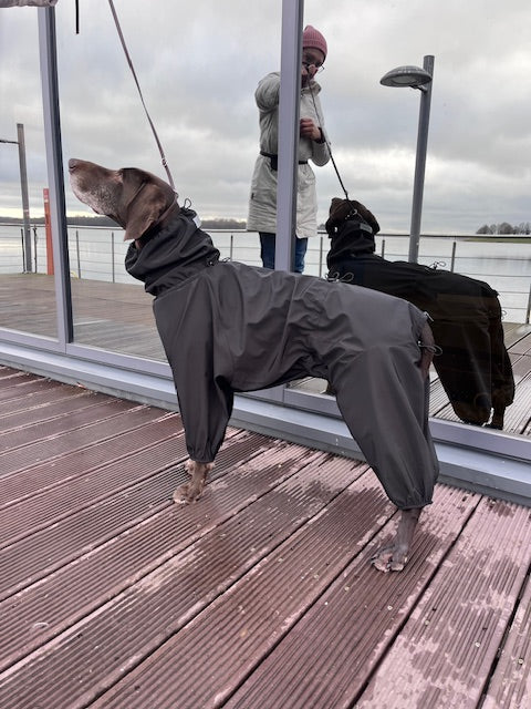 KENZOO waterproof dog overalls