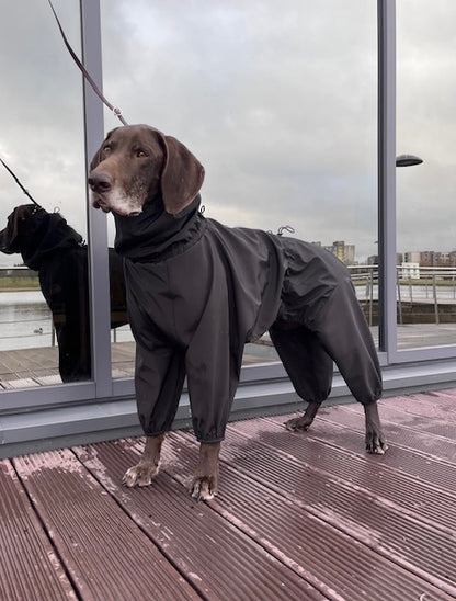 KENZOO waterproof dog overalls