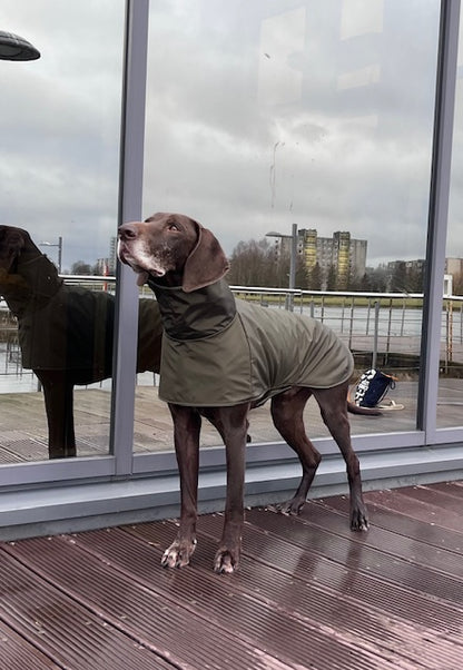 KENZOO khaki waterproof jacket for dog