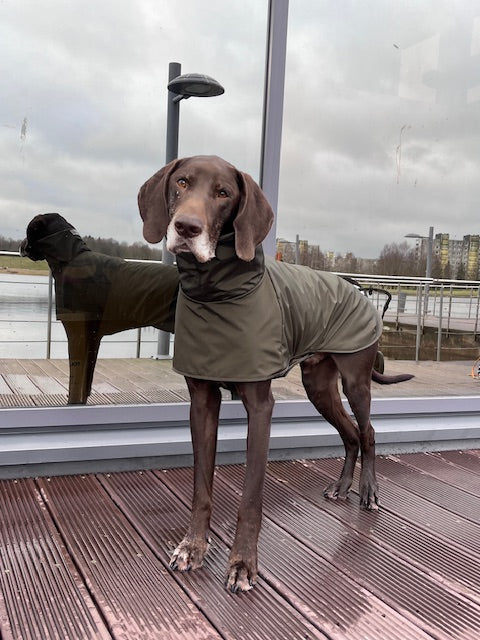 KENZOO khaki waterproof jacket for dog