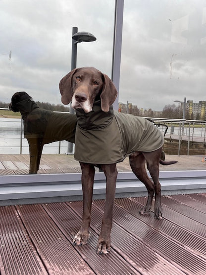 KENZOO khaki waterproof jacket for dog
