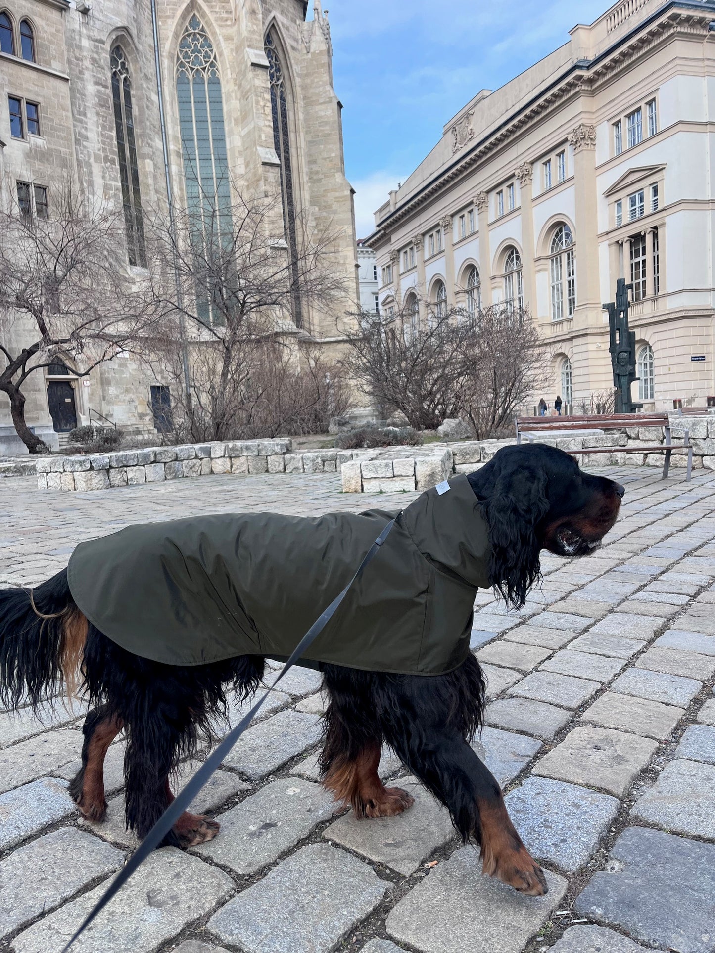 KENZOO khaki waterproof jacket for dog