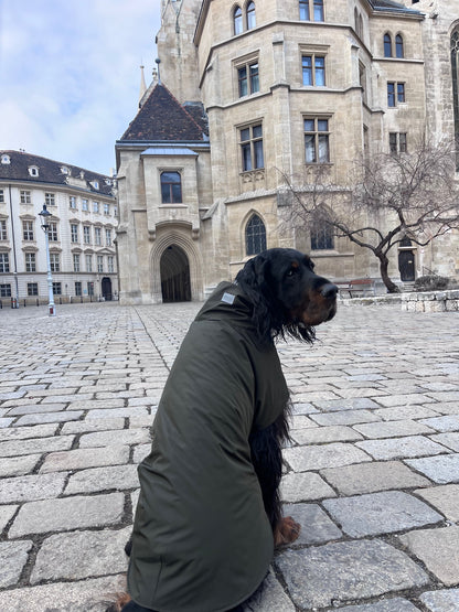 KENZOO khaki waterproof jacket for dog