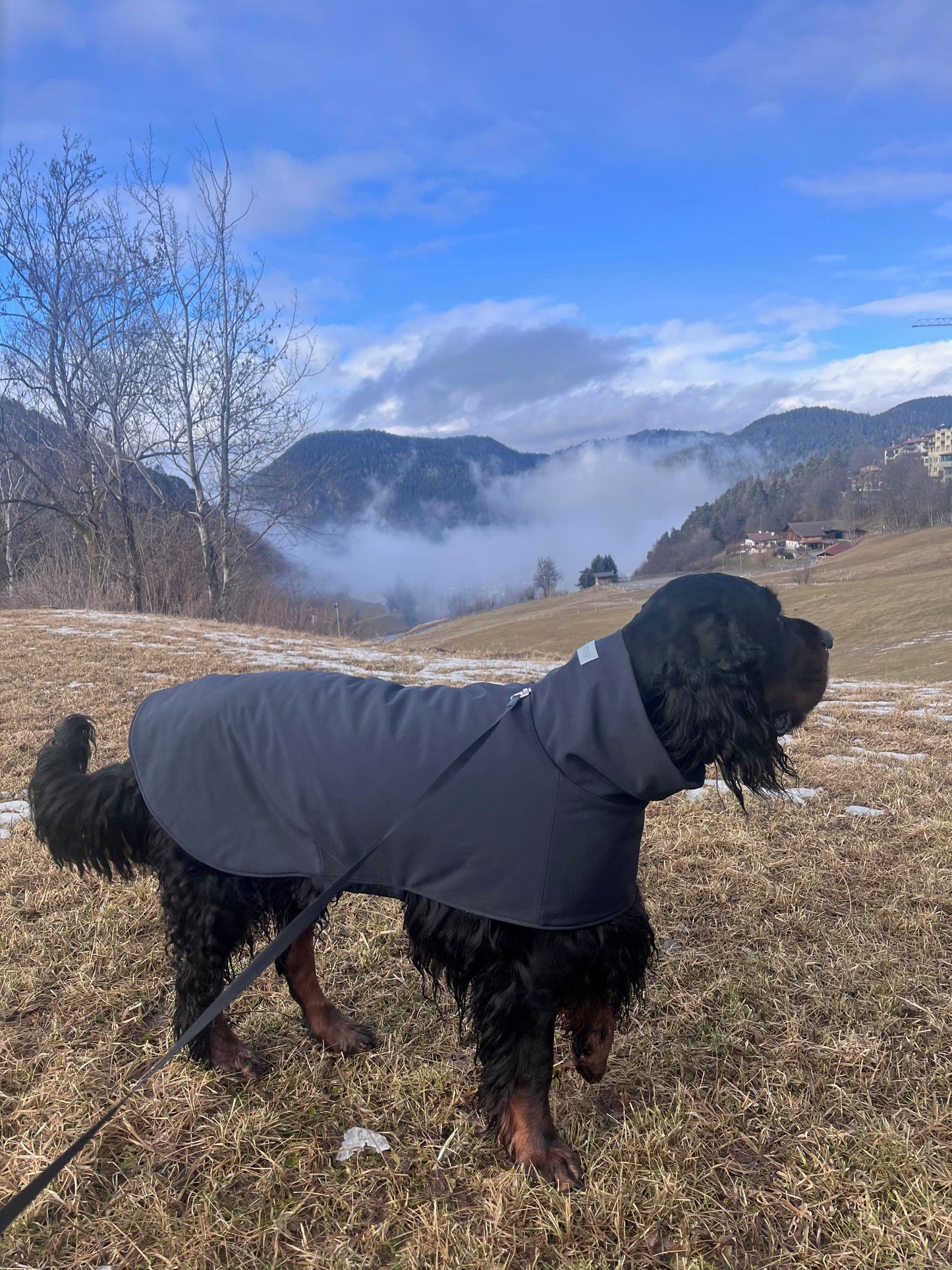 KENZOO black waterproof jacket for dog