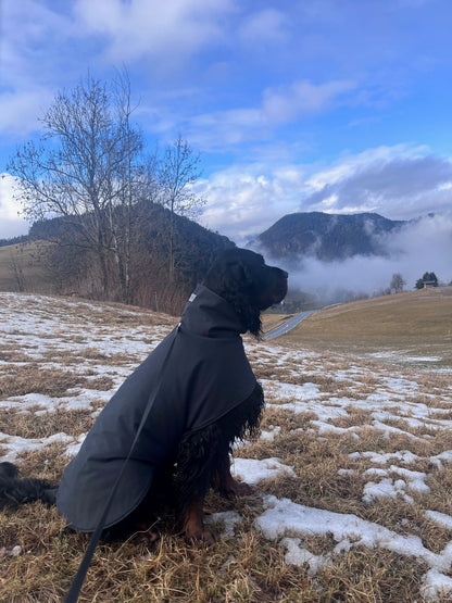 KENZOO black waterproof jacket for dog