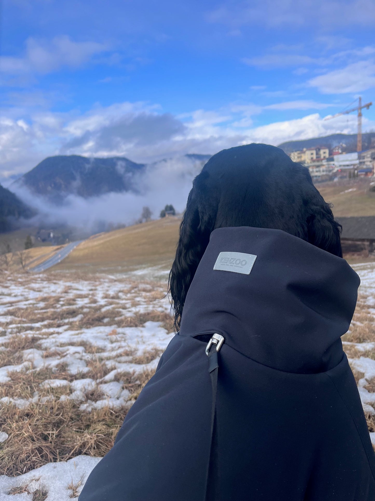 KENZOO black waterproof jacket for dog