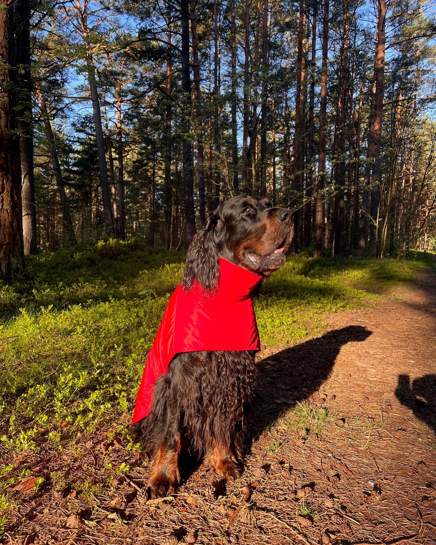 KENZOO black waterproof jacket for dog