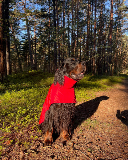 KENZOO black waterproof jacket for dog