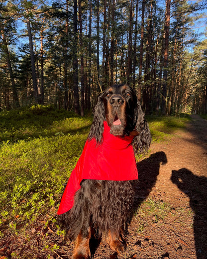 KENZOO black waterproof jacket for dog