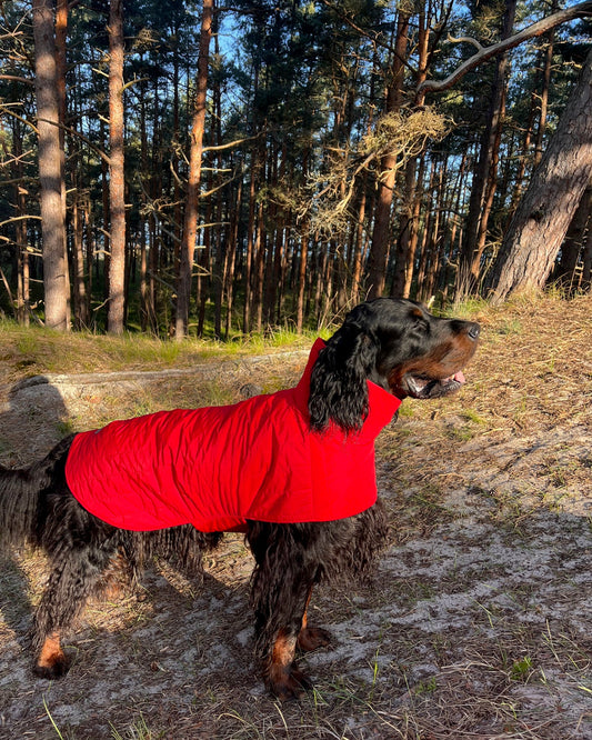 KENZOO black waterproof jacket for dog
