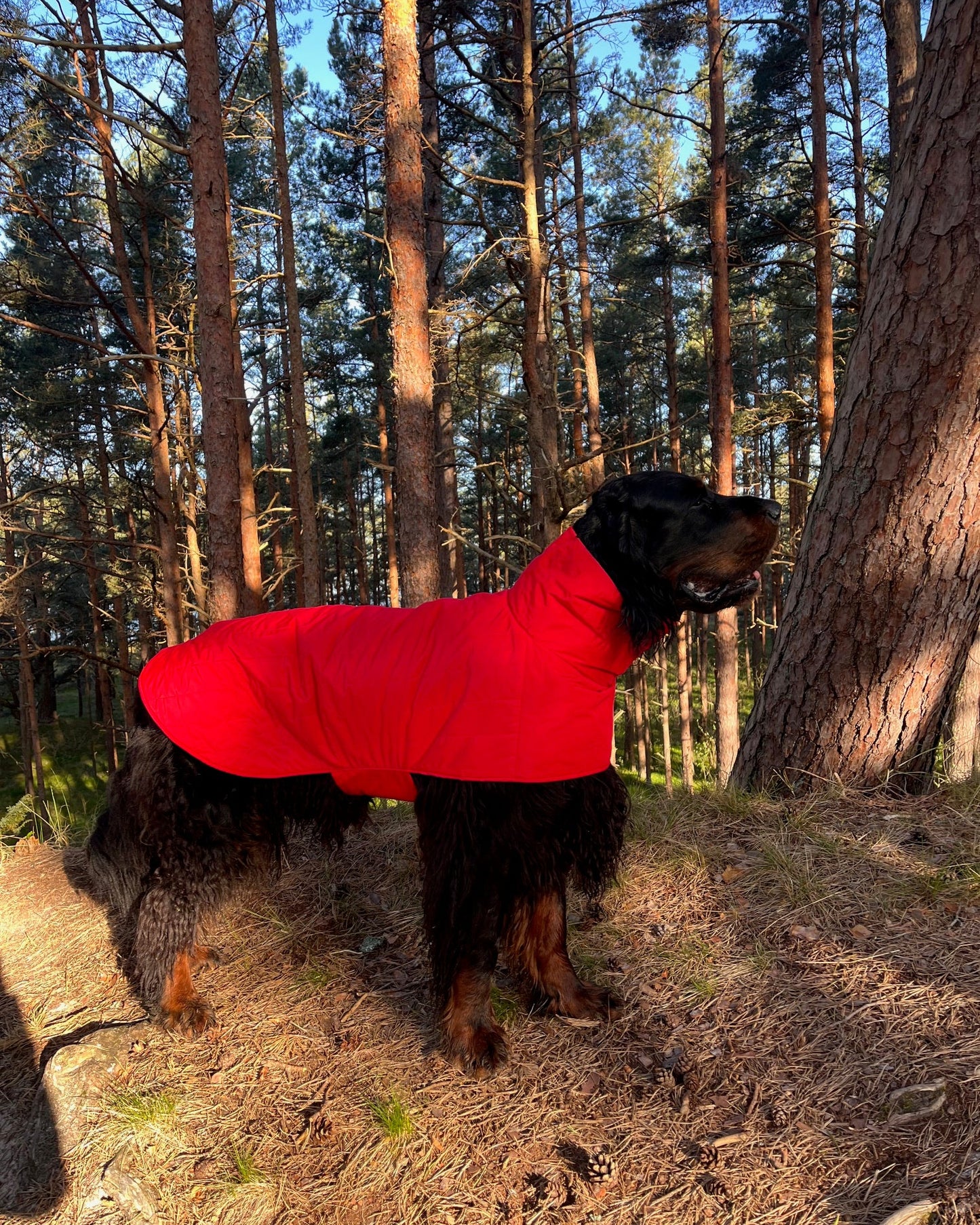 KENZOO black waterproof jacket for dog