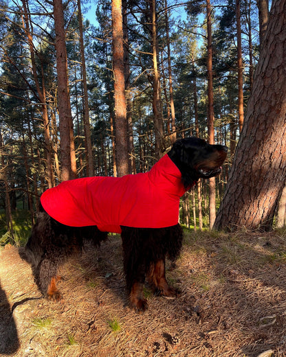 KENZOO black waterproof jacket for dog