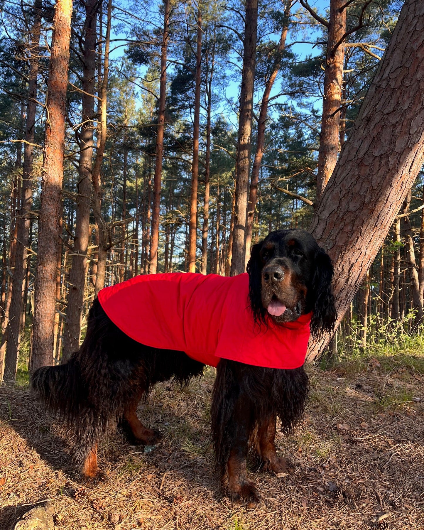 KENZOO black waterproof jacket for dog