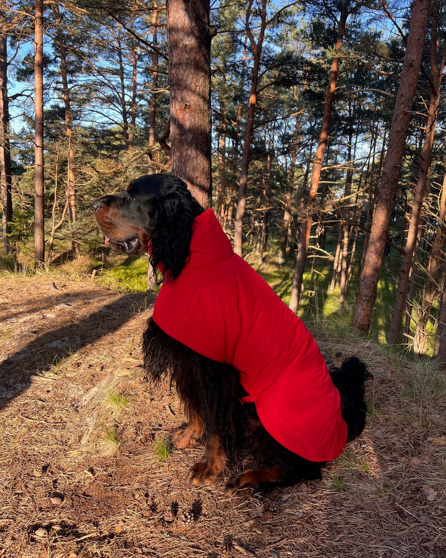 KENZOO black waterproof jacket for dog