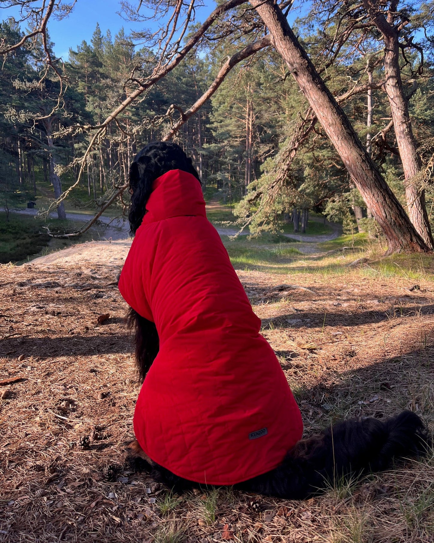KENZOO black waterproof jacket for dog