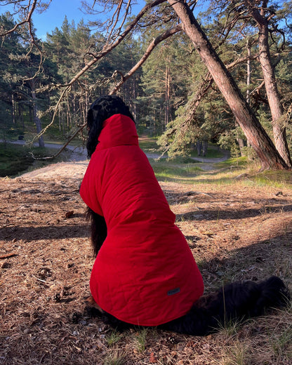 KENZOO black waterproof jacket for dog