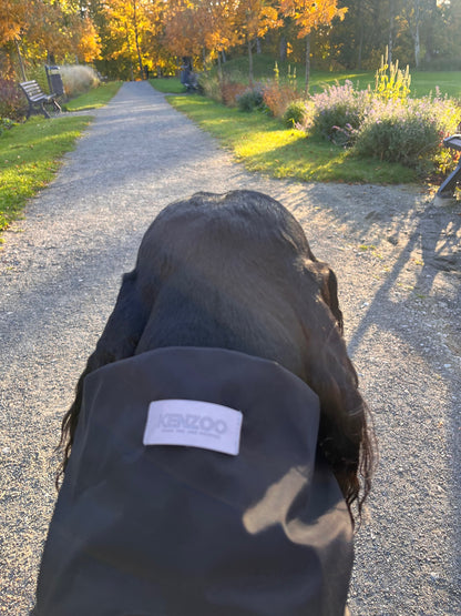 KENZOO black raincoat for dog