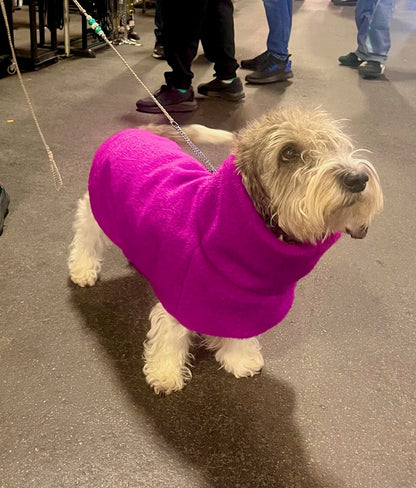 Ylellinen KENZOO-villatakki koiralle