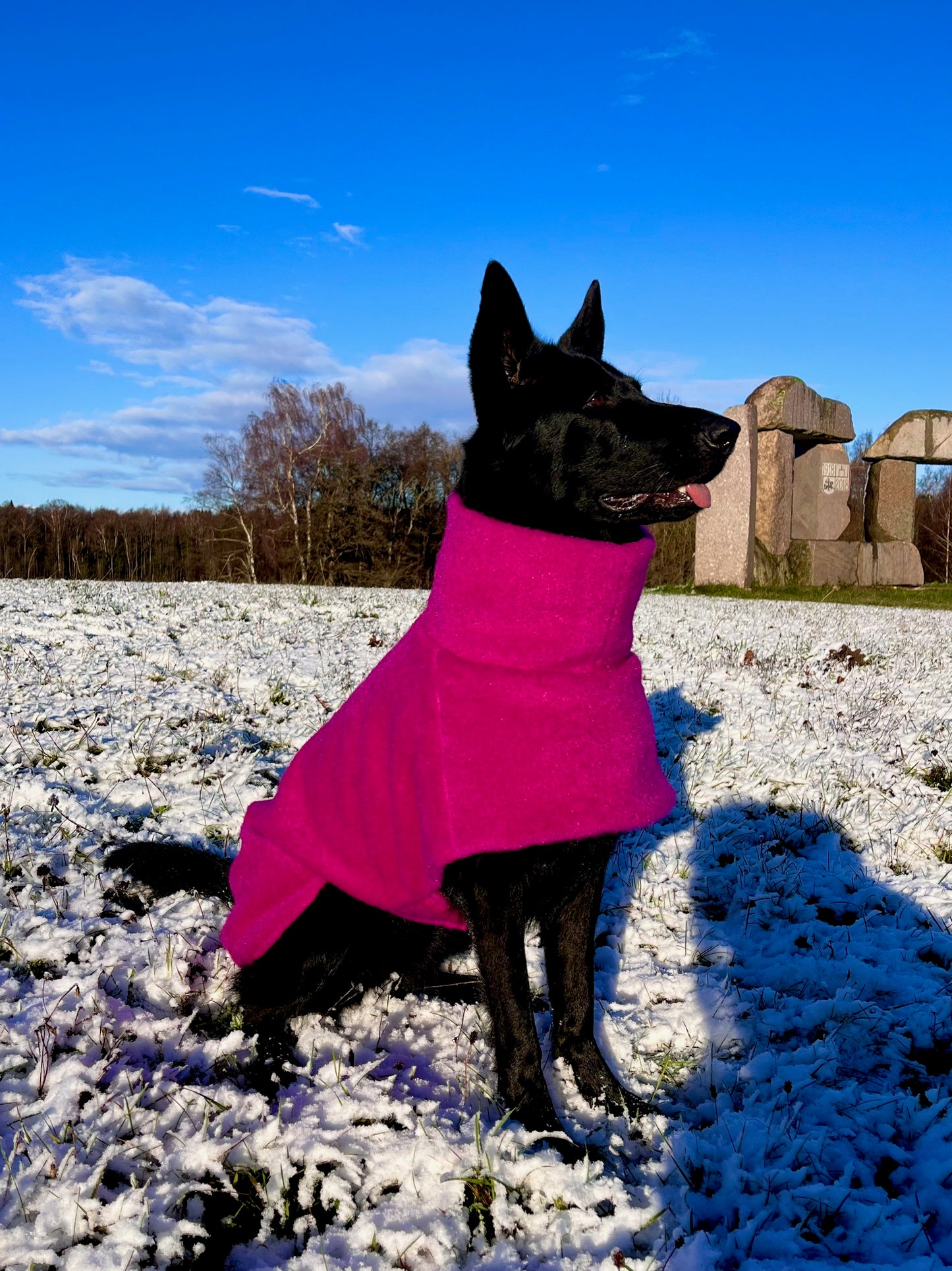 Ylellinen KENZOO-villatakki koiralle