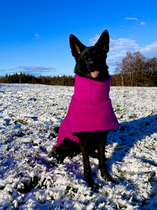 Prabangus rožinis KENZOO vilnos paltas šuniui