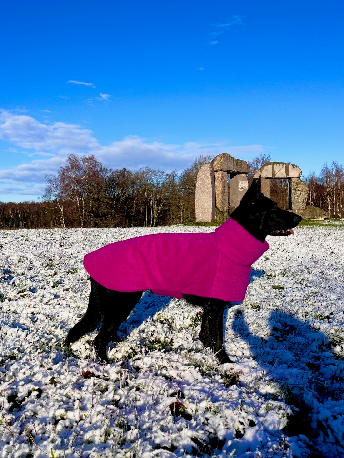 Ylellinen KENZOO-villatakki koiralle