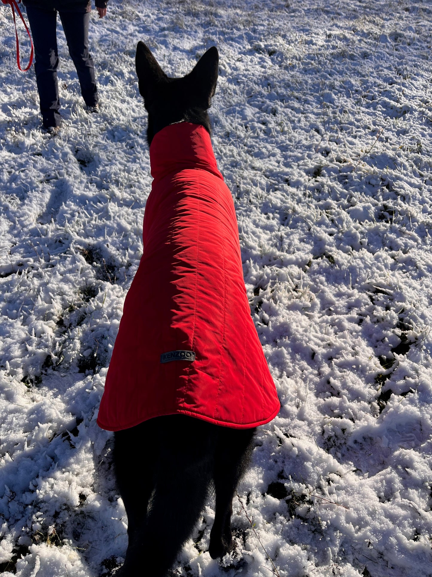 KENZOO black waterproof jacket for dog