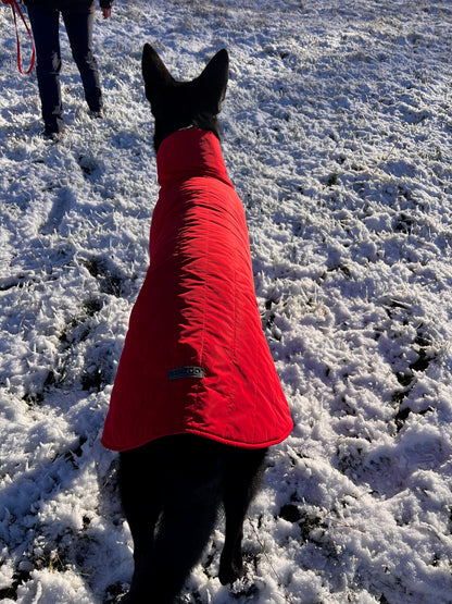 KENZOO black waterproof jacket for dog