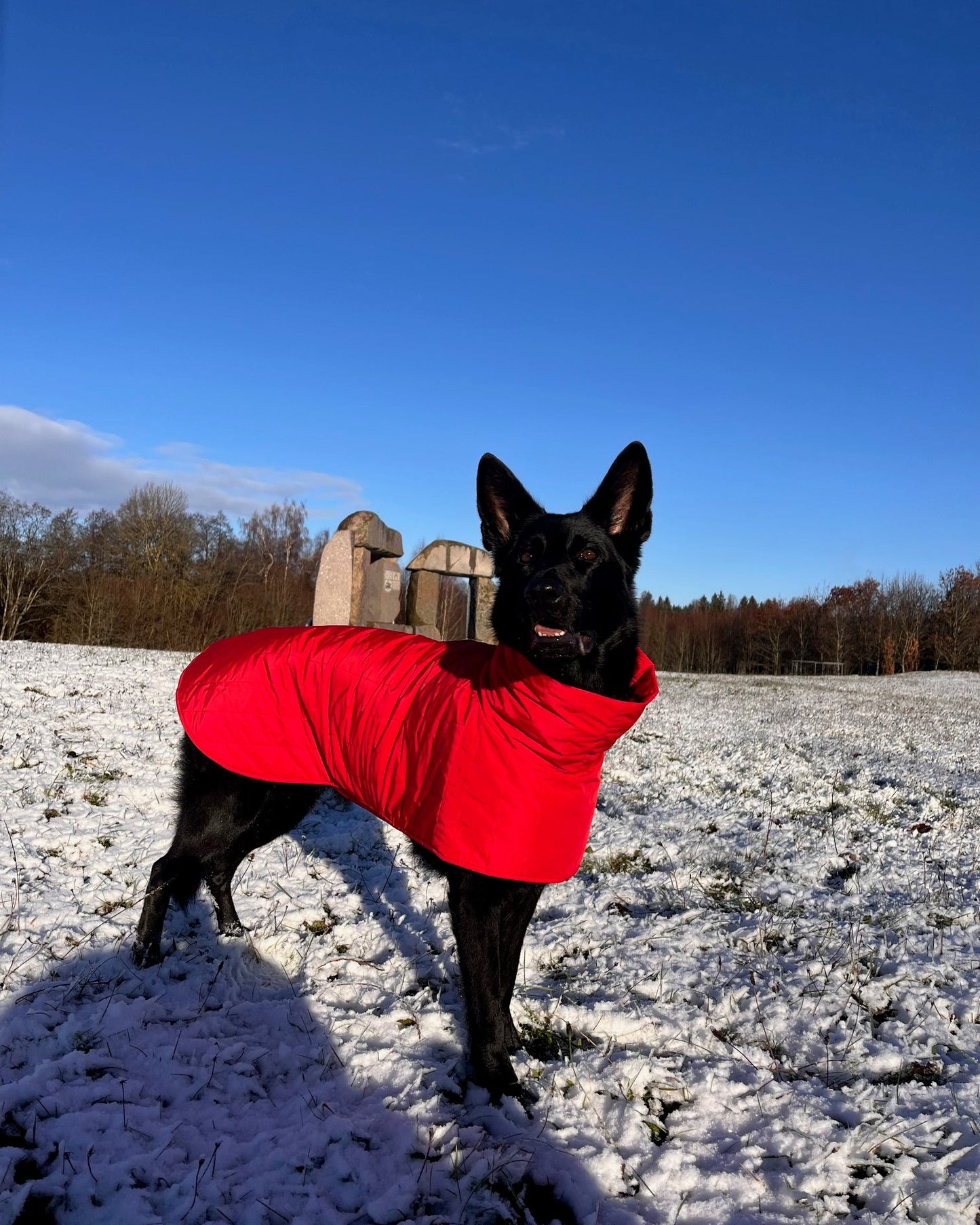 KENZOO black waterproof jacket for dog