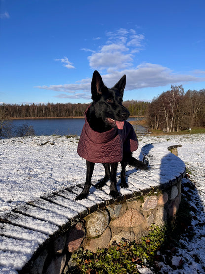 Raudono vyno spalvos KENZOO striukė šuniui