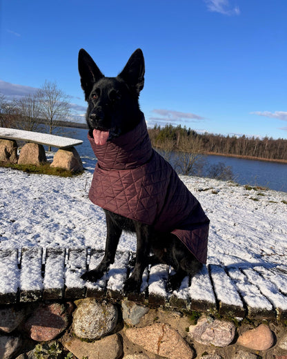 Raudono vyno spalvos KENZOO striukė šuniui