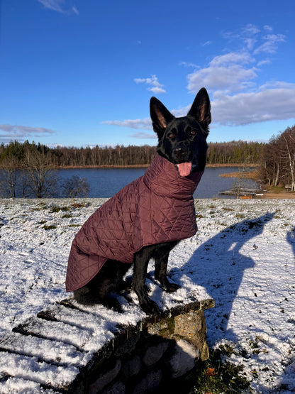 Raudono vyno spalvos KENZOO striukė šuniui