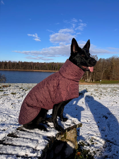 Raudono vyno spalvos KENZOO striukė šuniui