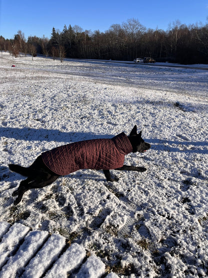 Raudono vyno spalvos KENZOO striukė šuniui