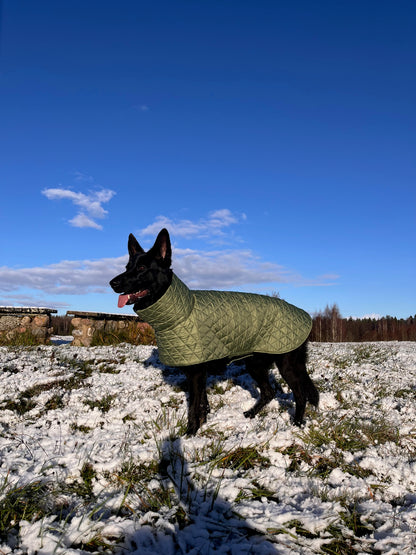 Alyvuogių spalvos KENZOO striukė šuniui